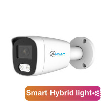 IP Видеокамера AltCam ICF83IR(RU) 