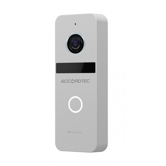 Вызывная панель IP-домофона AccordTec AT-VD311L SL