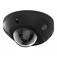 IP Видеокамера Hikvision DS-2CD2543G2-IS(2.8mm)(BLACK)